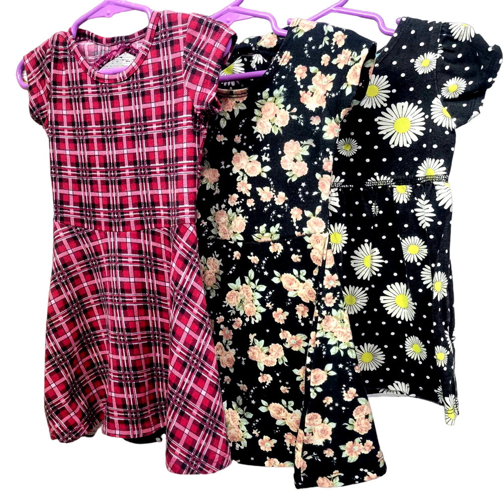 Spring‎ Baby Dresses 18 month Lot of 3